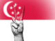 Singapore flag